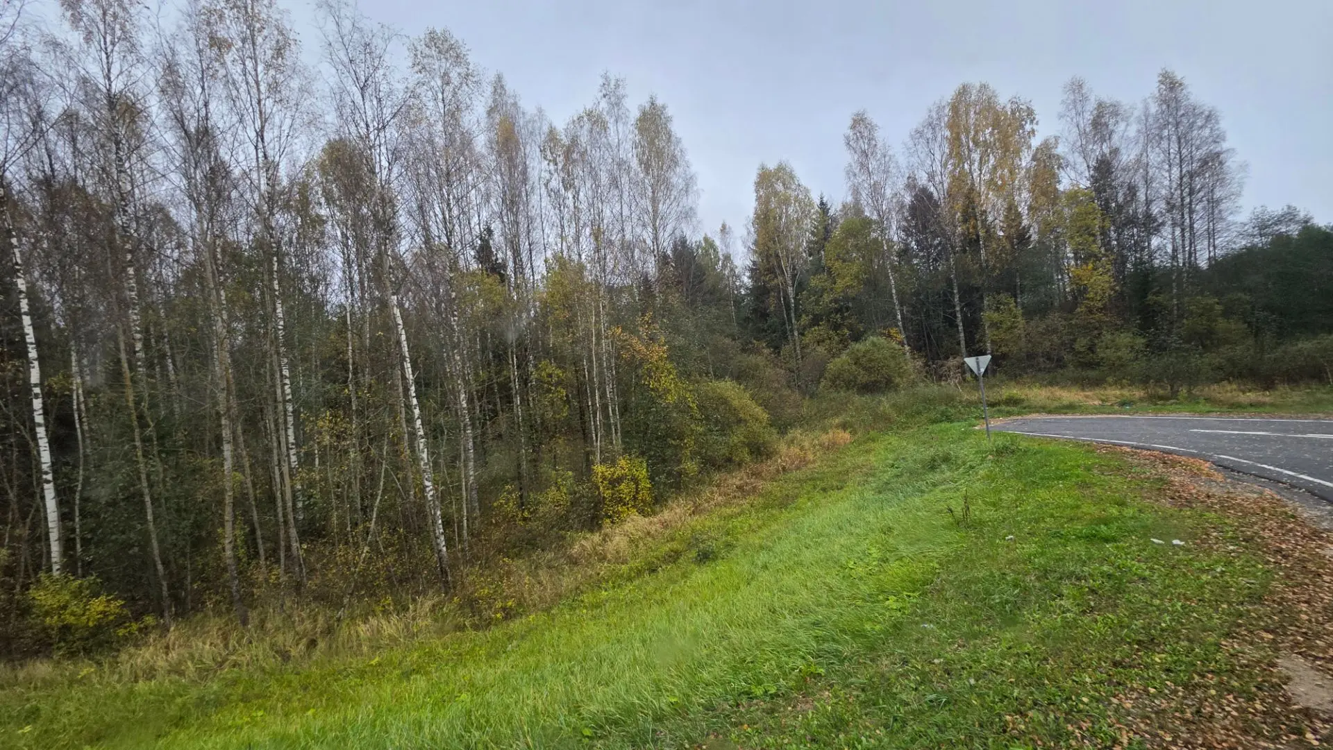 В России осень 🍂 уже полным ходом идёт