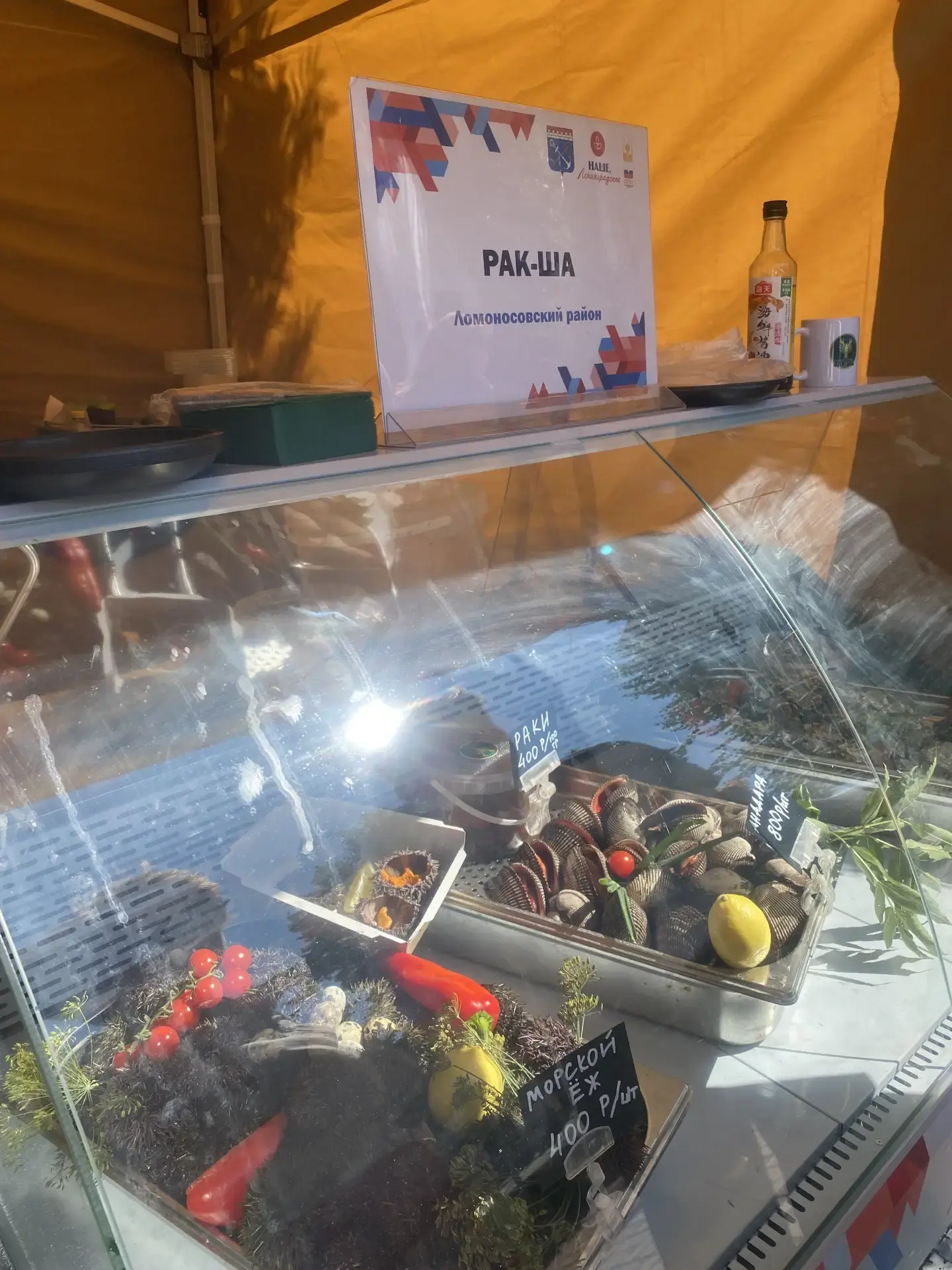 Гастрономический рай в сердце Выборга 🧀🐟