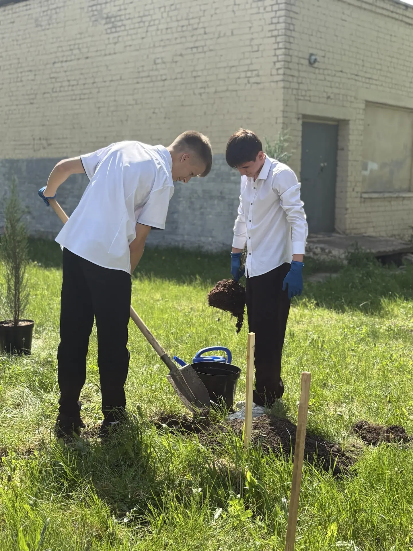 В нашей школе появилась «Аллея героев» 🌳  Недавно в нашей школе состоялось важное и трогательное соб