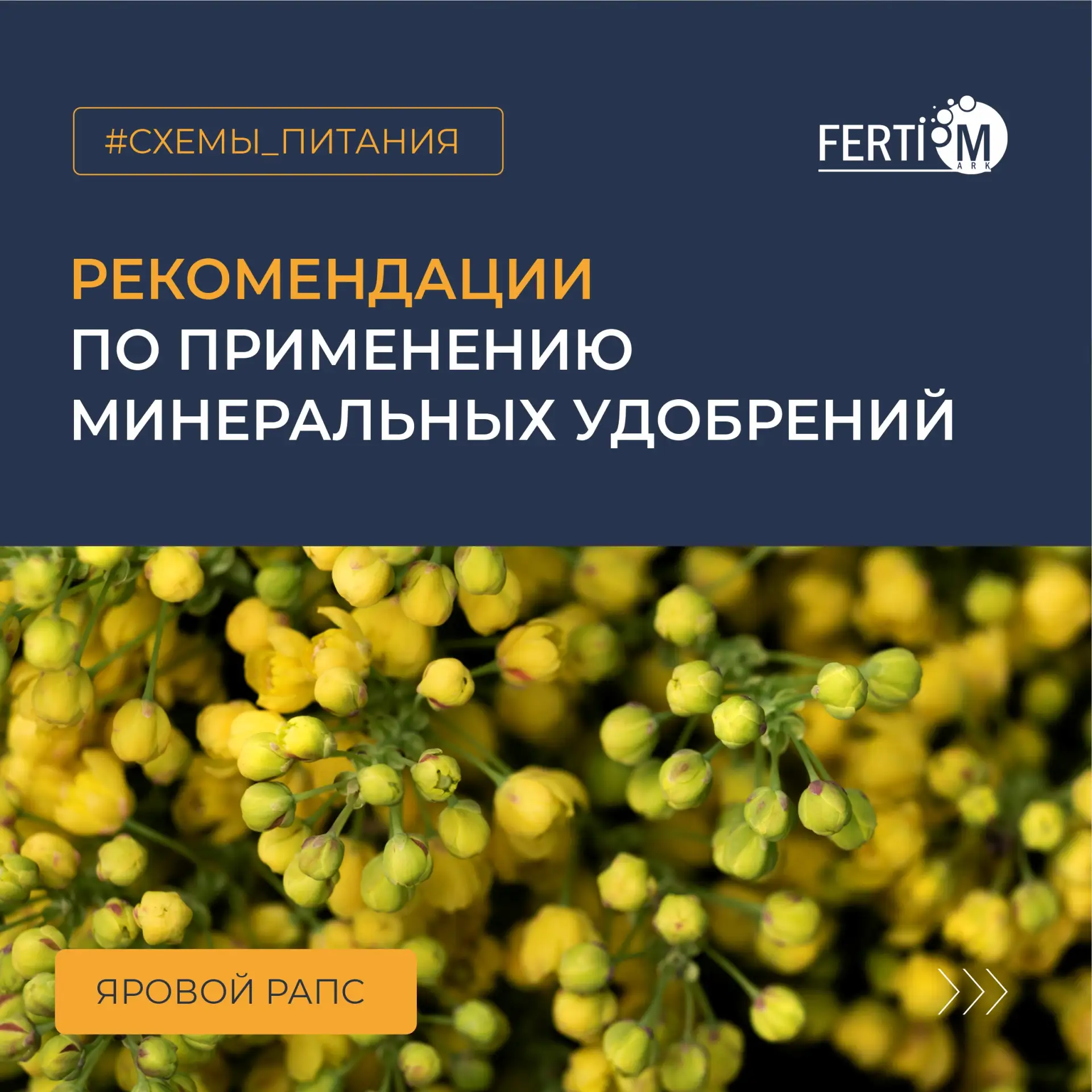 🌾 Рапс. Системы минерального питания.

Рапс - культура с большим выносом фосфора в течение всего ве