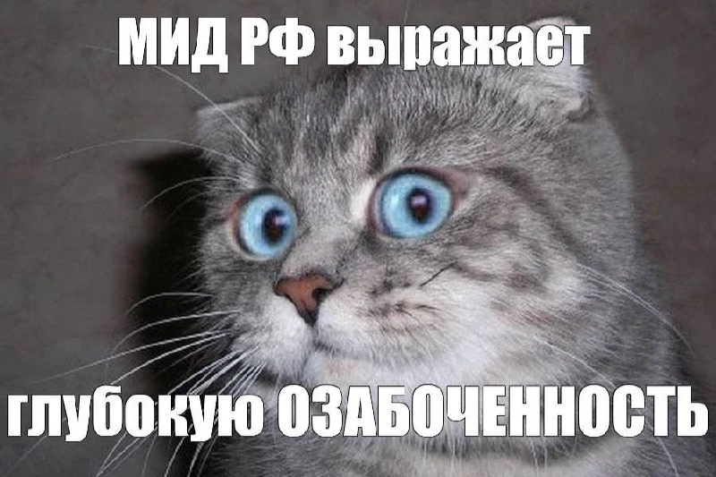 Россия заявила о праве на ответные меры после решения Канады производить украинские вое...