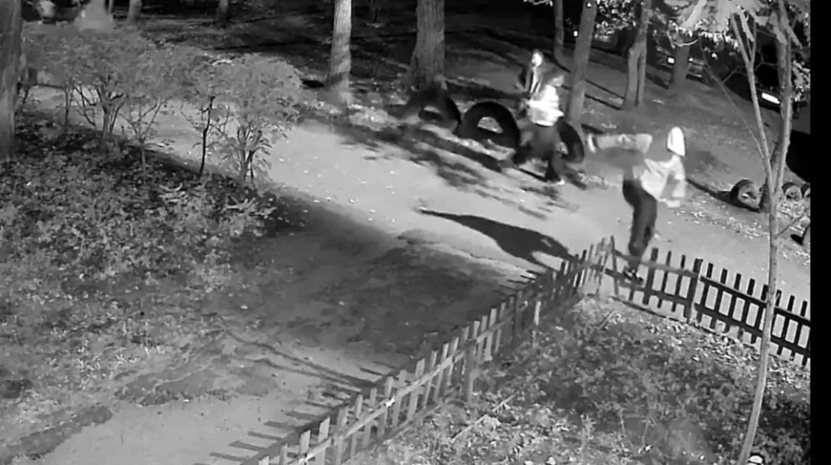 Компания подростков-хулиганов устроила ночной погром на улице Артамонова в Воронеже