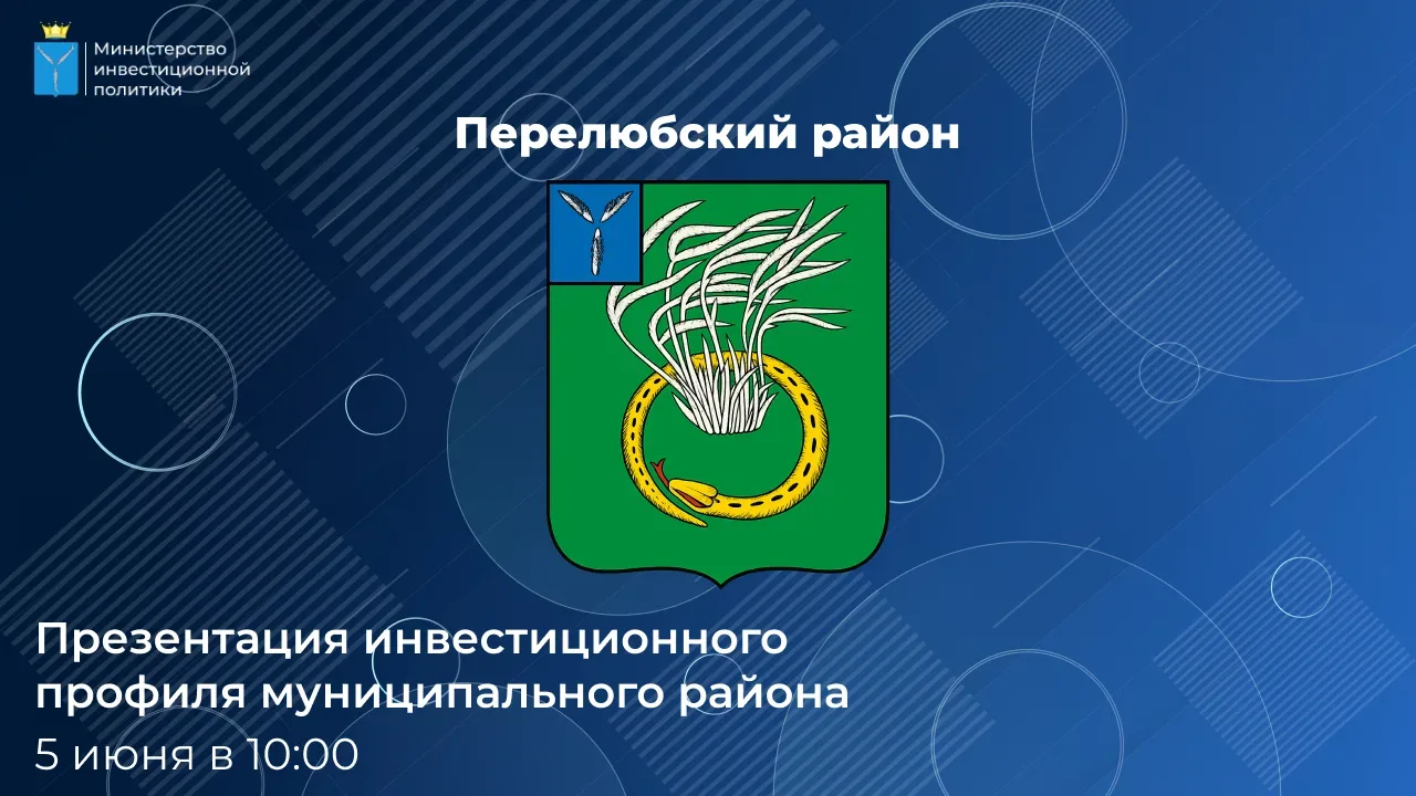 Прямой эфир: презентация инвестиционного профиля Перелюбского района