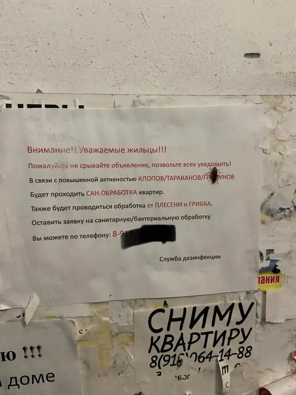 Очень «живая» реклама в анапских подъездах! Слишком натурально, нам кажется 😁🙈