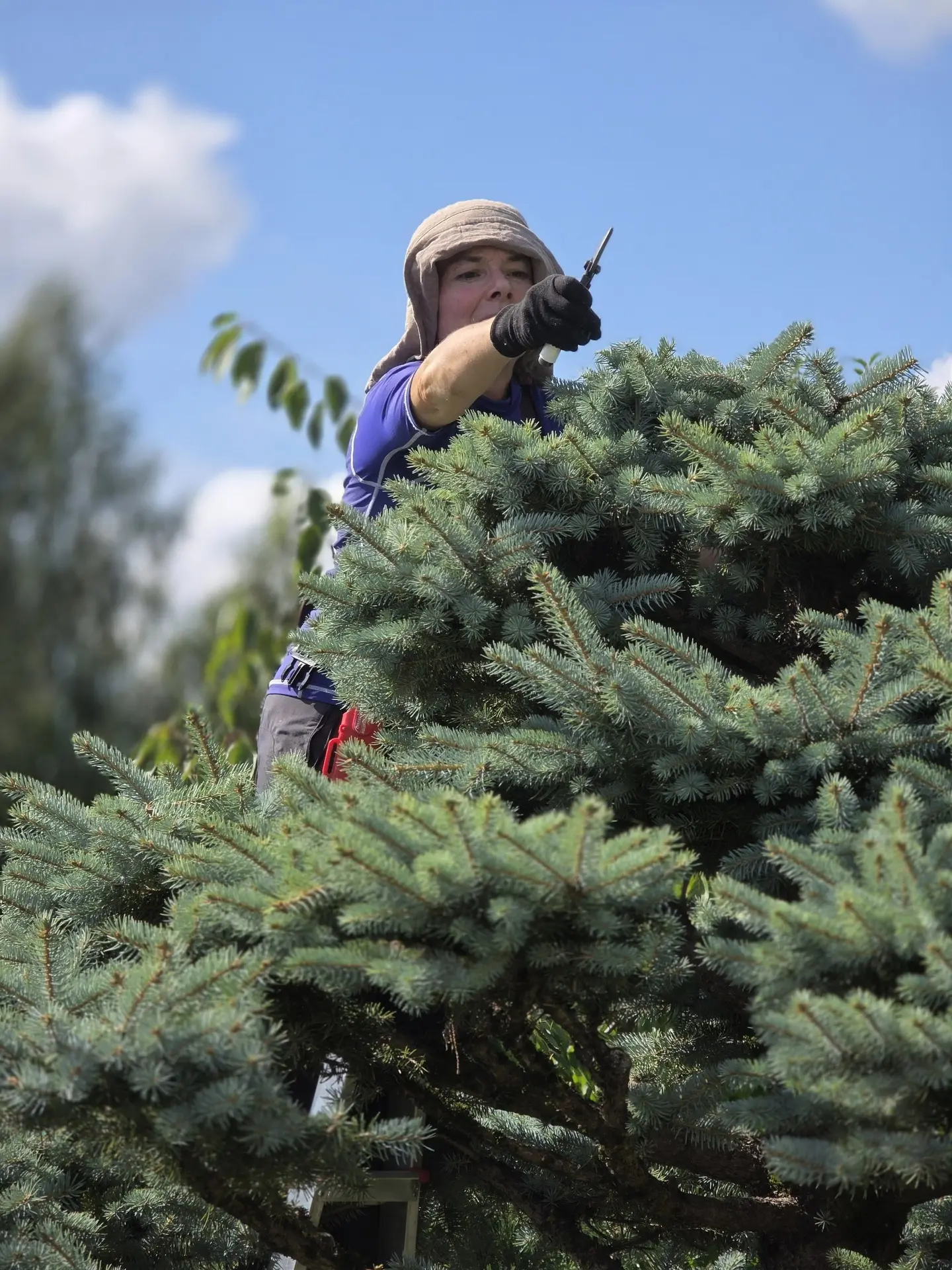 Работаем сегодня с девушками в Подрезково: начало ✂️🌲🌳