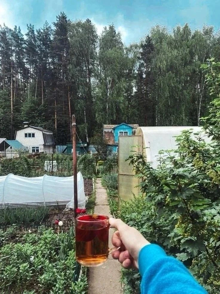 Хотите, чтобы огород приносил радость, а не боль в пояснице?