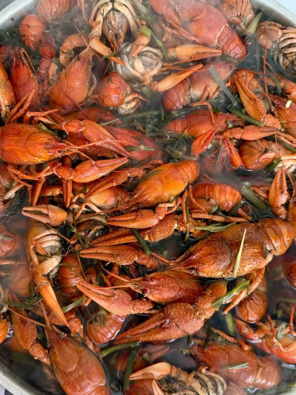 ☀️ Продлеваем лето вместе с раками 🦞🦞🦞