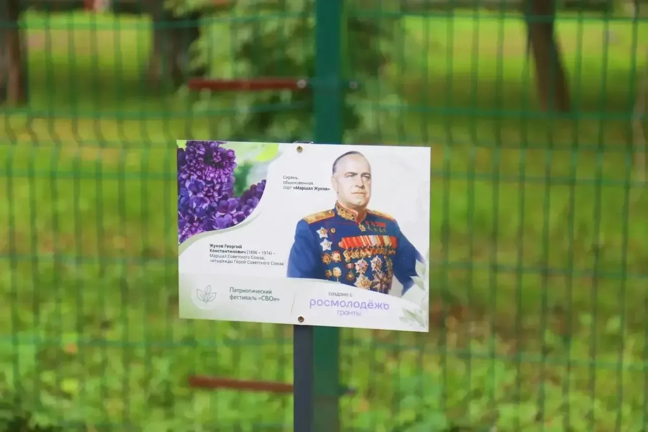 🌿 История расцветает