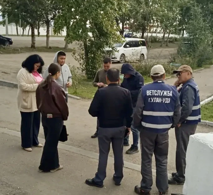 🐶 В микрорайонах Аэропорт, Сокол провели межведомственный рейд по контролю за безнадзо...