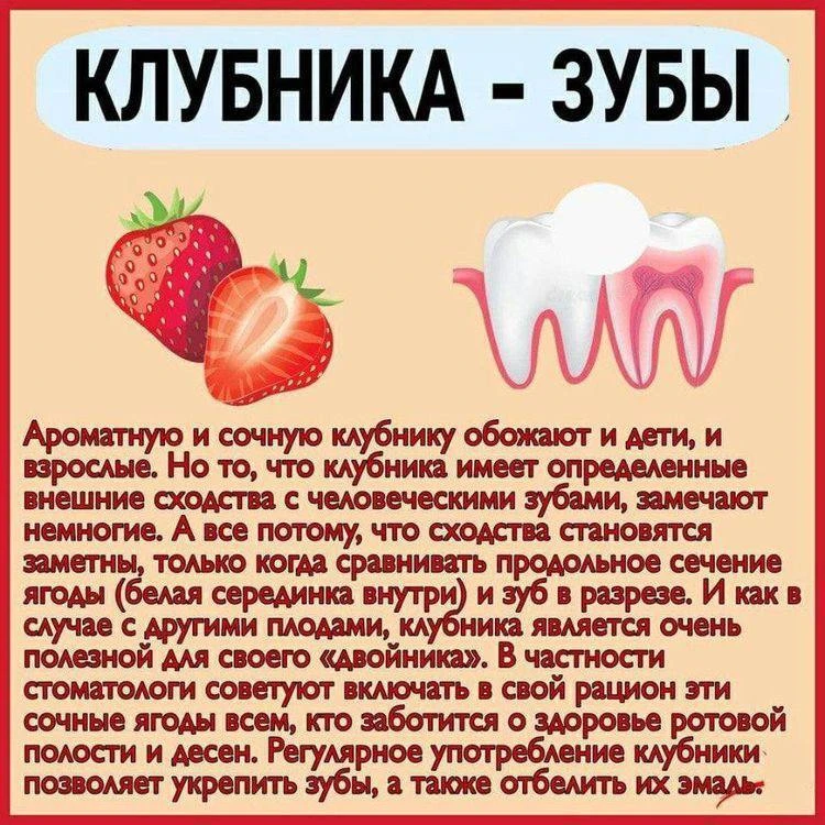 Полезно знать 🌿