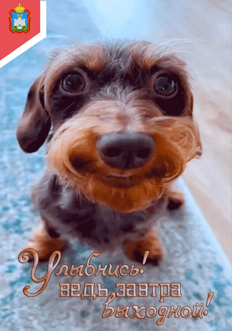 🤗 ВЫХОДНЫЕ

😜Друзья, вот и наступили долгожданные выходные! Какие у Вас планы на них?

#БУООЦСОНЛи