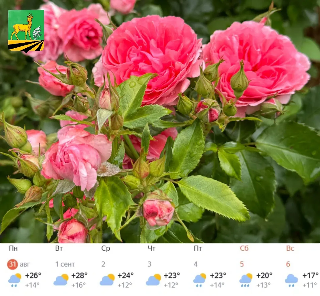 ⛅️Доброе утро, земляки! С новыми силами открываем рабочую неделю!