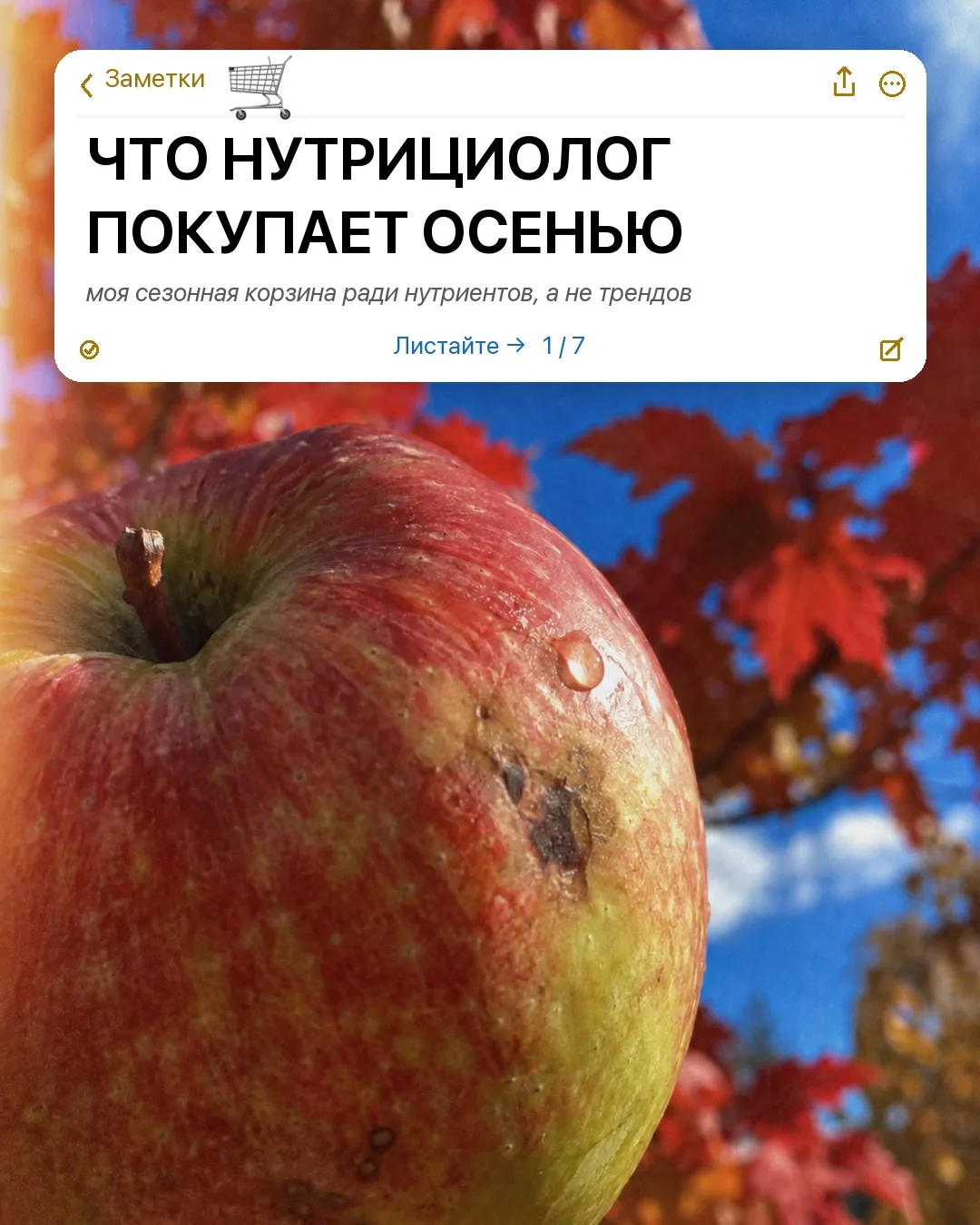 ЧТО НУТРИЦИОЛОГ ПОКУПАЕТ ОСЕНЬЮ