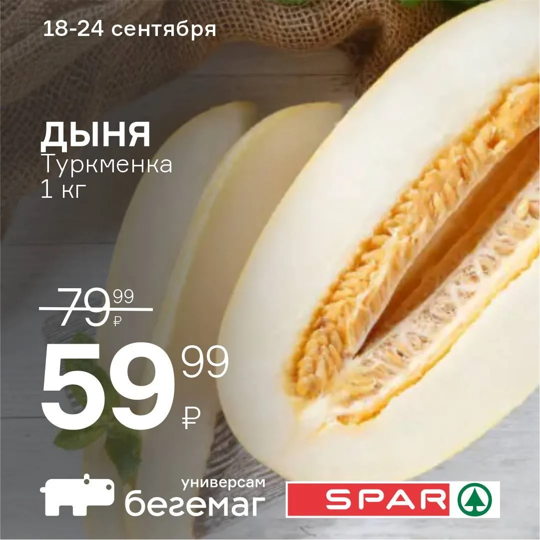 🍈 Медовая дыня «Туркменка» - всего 59,99 ₽/кг! 🍯