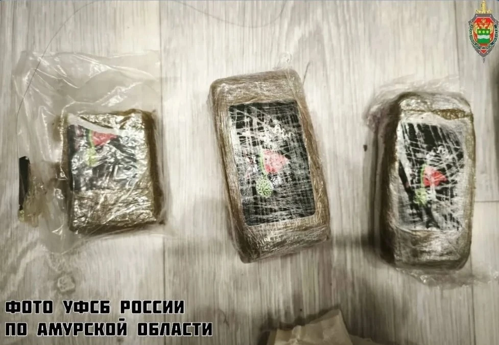⚖ Два благовещенца отправятся в колонию строгого режима за работу в наркошопе  В Благовещенске двух 