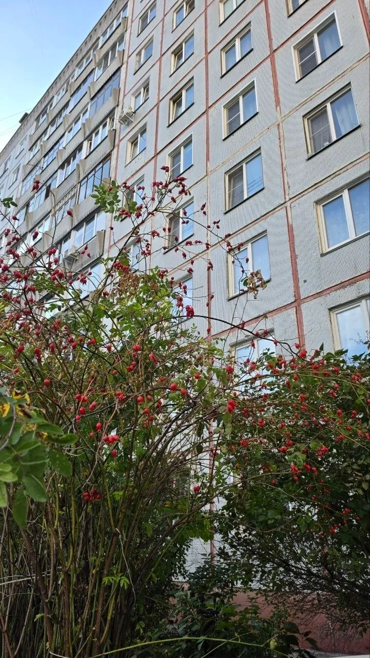 ☀️Доброе утро, соседи!