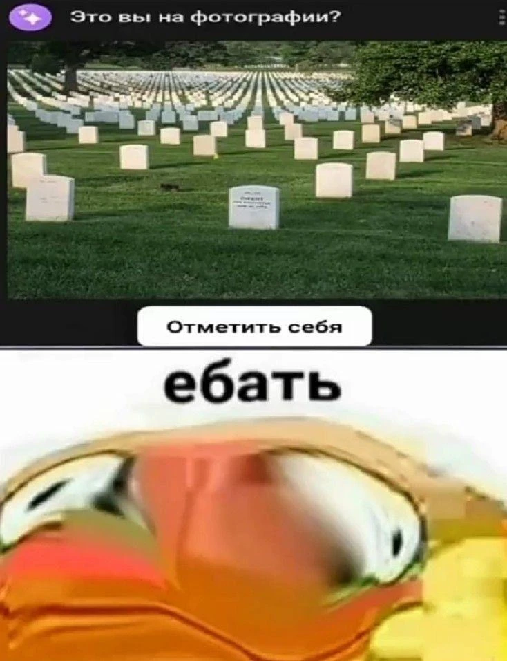 Кино Абсурдус