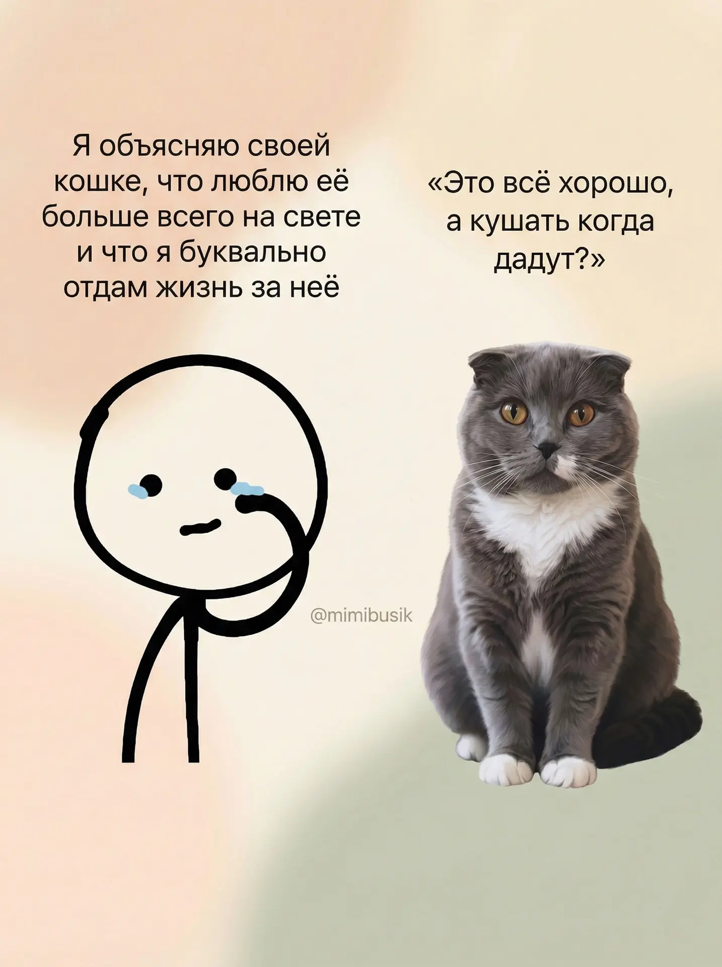 Я: изливаю душу и плачу от любви.
Буся: пристально смотрит в глаза и прикидывает, влезет ли в неё ещ