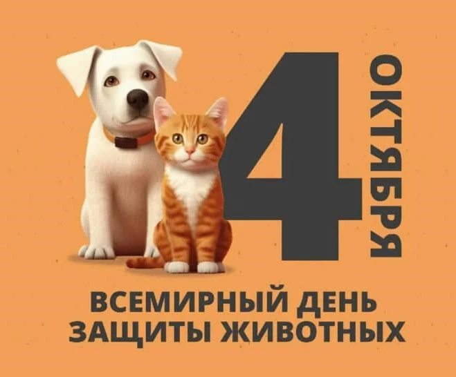 💥4 октября отмечается Всемирный день защиты животных💥
