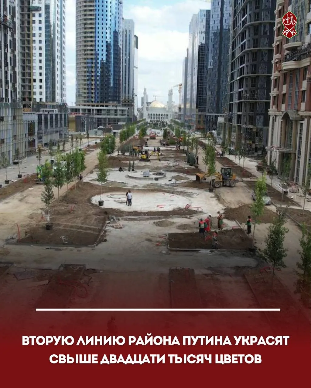 Вторую линию района Путина украсят свыше двадцати тысяч цветов