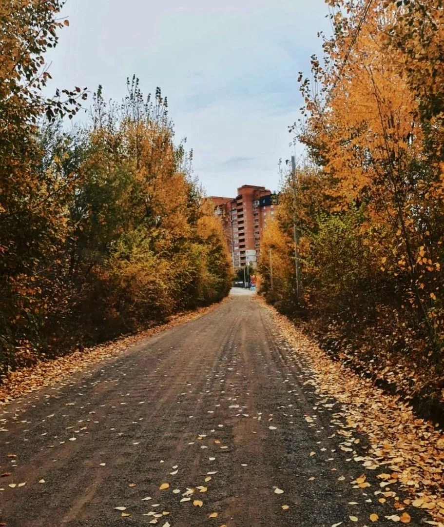 Доброго воскресного утра 🍂