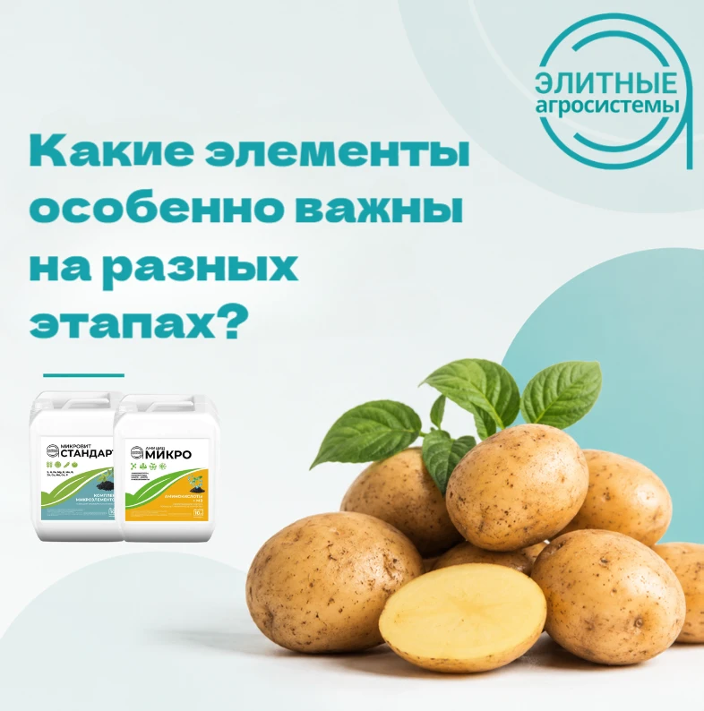 Потребность картофеля в питательных элементах меняется в течение вегетации. Поэтому важ...