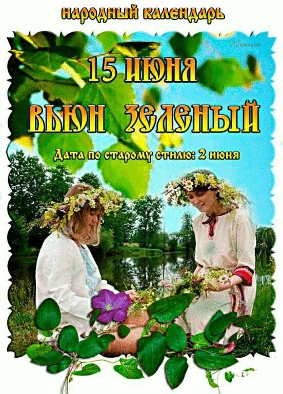 Народный календарь
По народному календарю 15 июня отмечается Вьюн Зеленый (также известный как Никиф