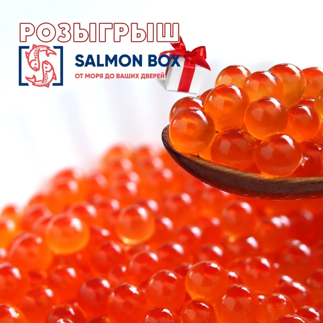 РОЗЫГРЫШ #185