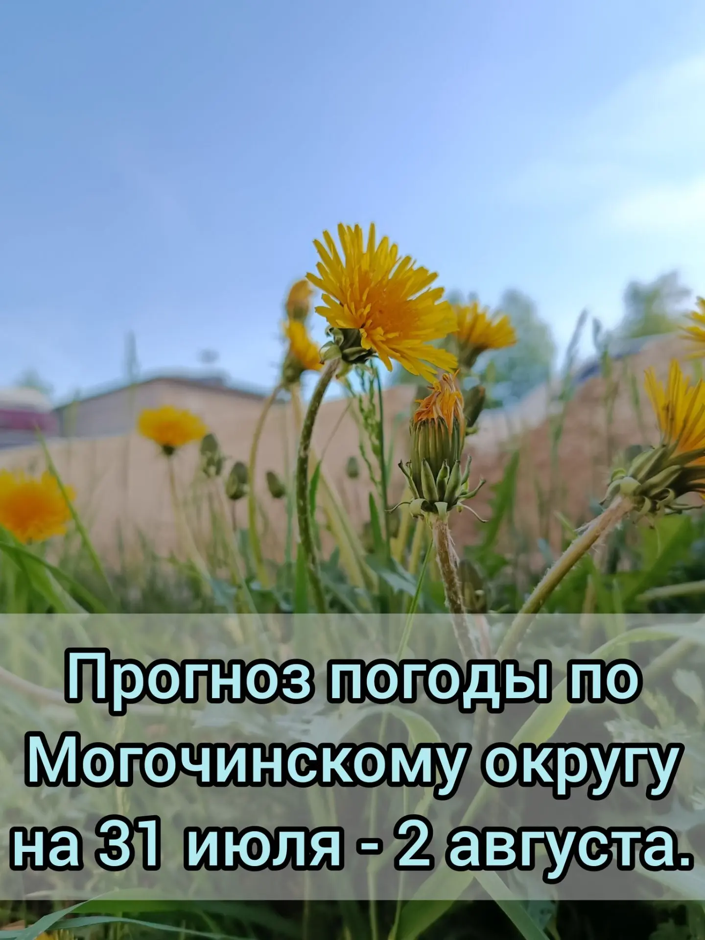 🌥️Прогноз погоды по Могочинскому округу на 31 июля – 2 августа