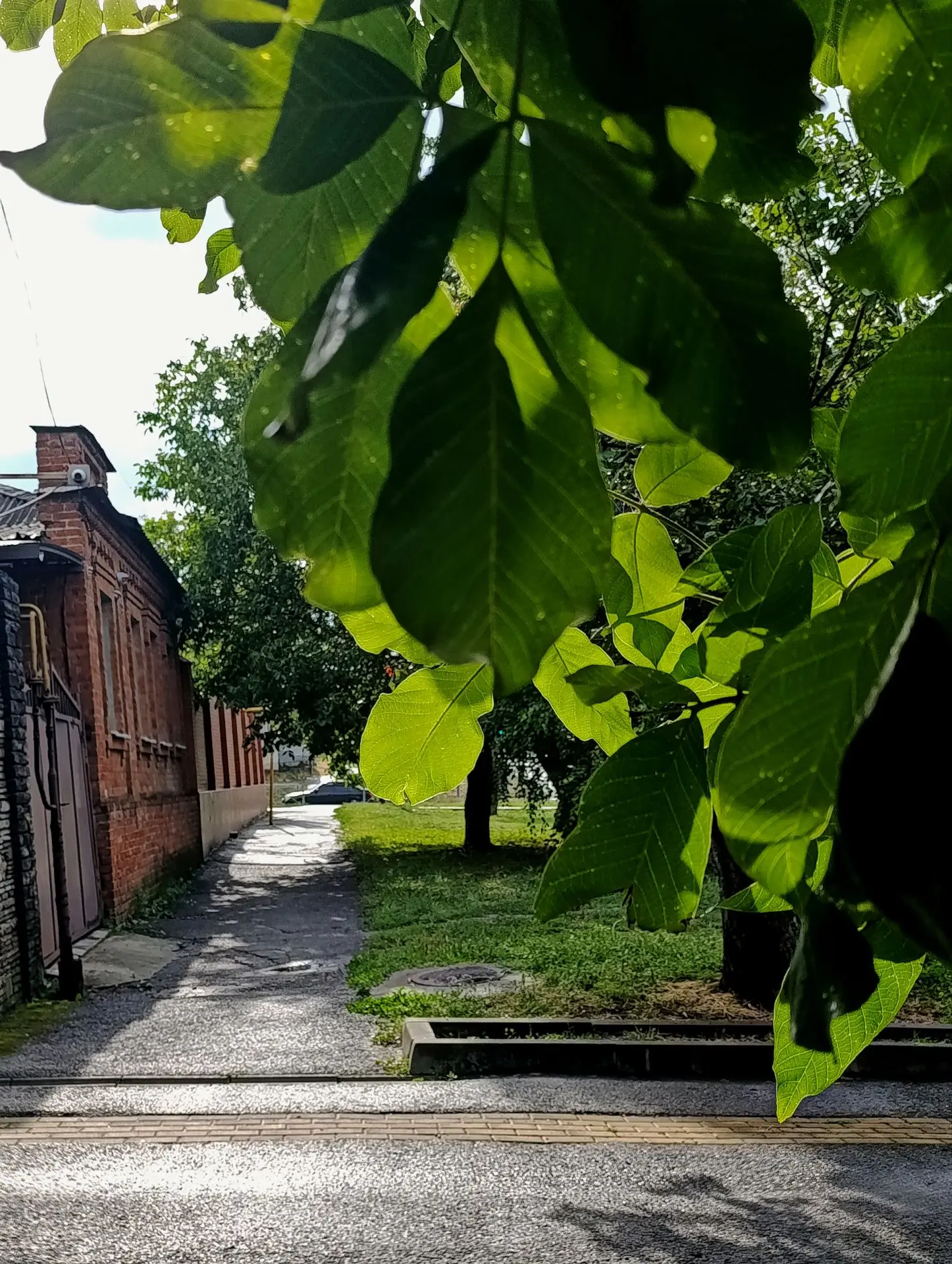 Хороших выходных, новочеркасцы! ☘️