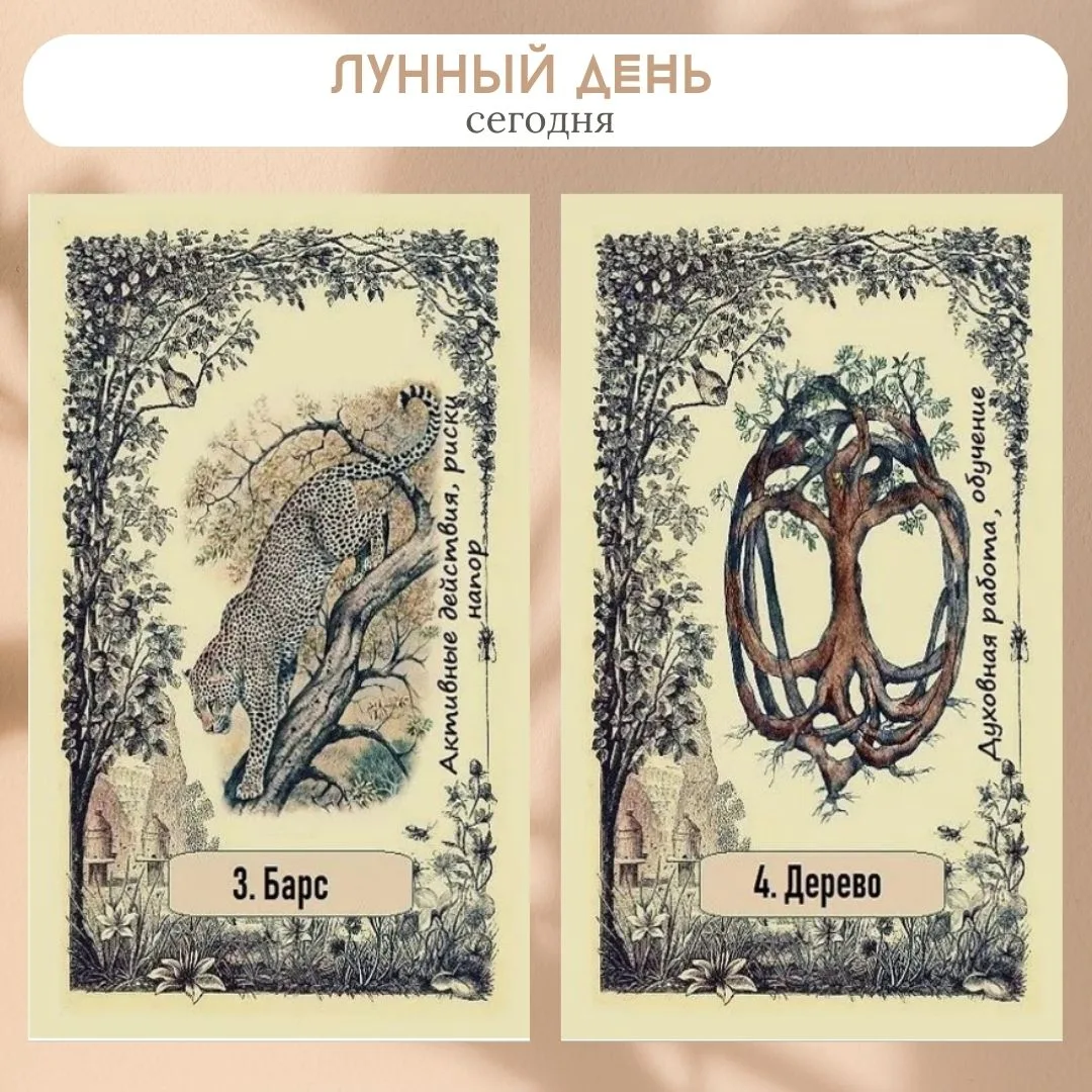Сегодня 18 июня 2026, 3-4 лунный день.

🌙  Растущая луна. Луна в знаке Лев. Искристая энергия Льва 