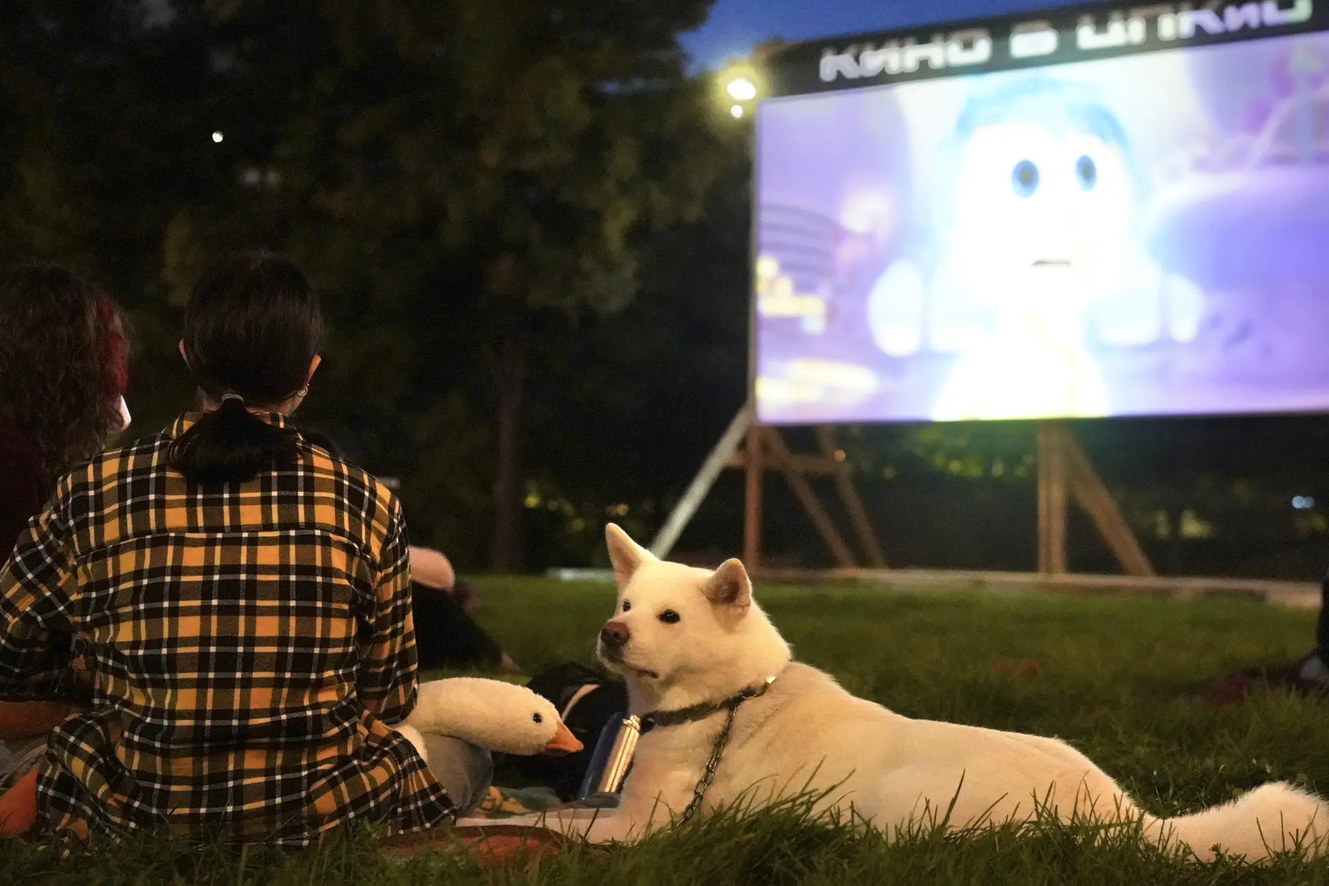 ☀️ Наслаждаемся каждым днём 

В парке каждый день происходит что-то интересное. И даже рабочие будни