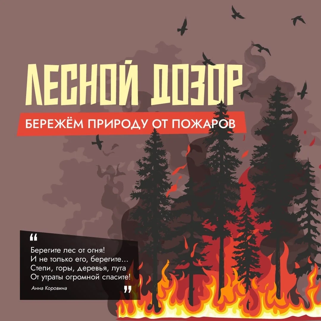Лес — наш общий дом. Пусть он будет в безопасности. Ваша памятка «Бережем природу от пожаров» — здес