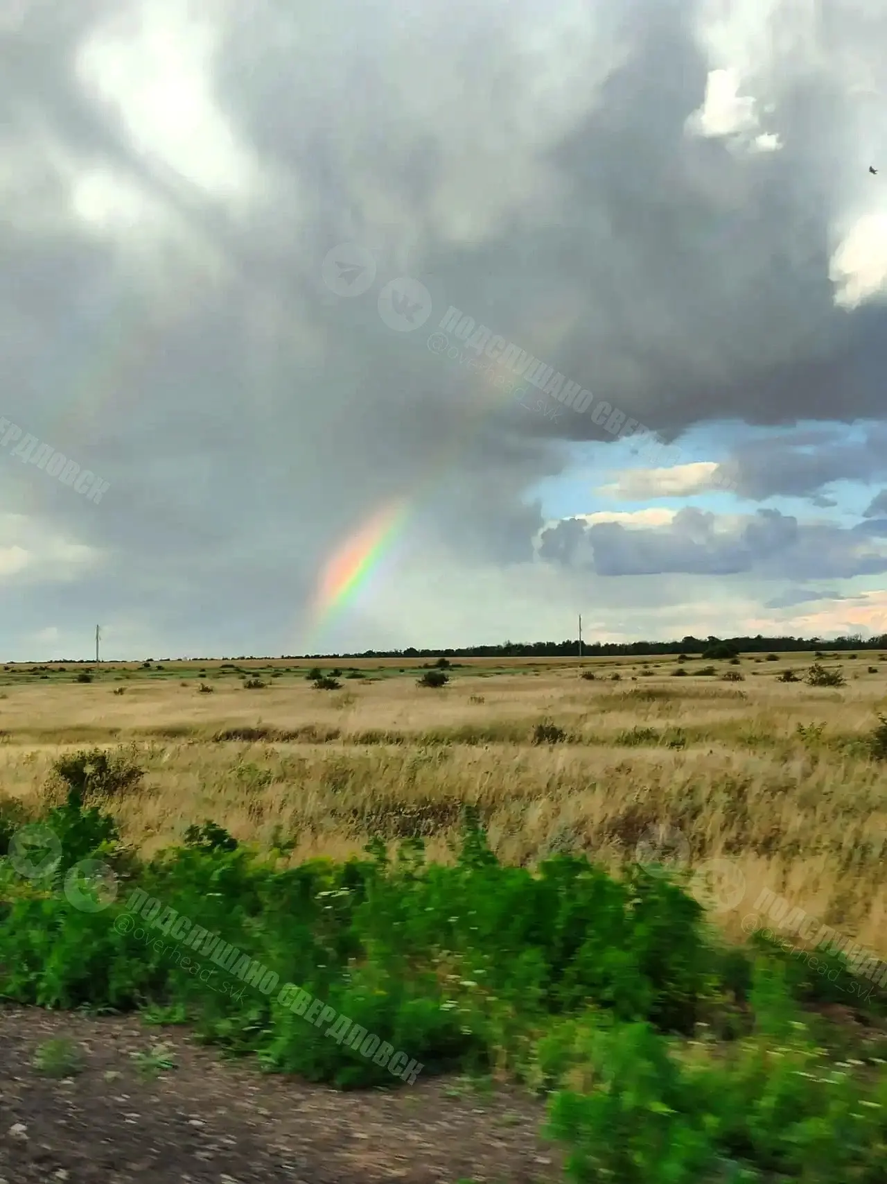 После дождя 🌈 

От подписчицы