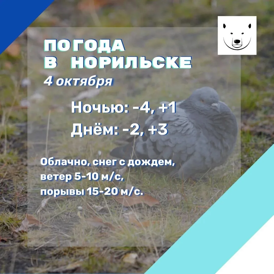 Прогноз погоды на 04.10.2026 (по данным Таймырского ЦГМС – филиала ФГБУ «СУГМС»): време...
