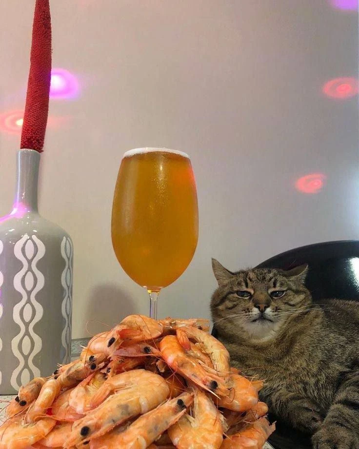 🍺 День пивопития отмечается сегодня