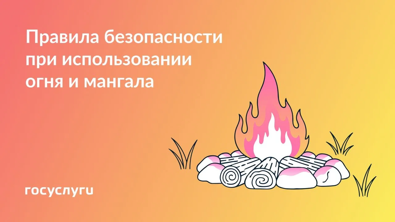 🍢 В городе, на даче или в лесу: правила использования мангала