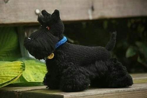Скотч терьер