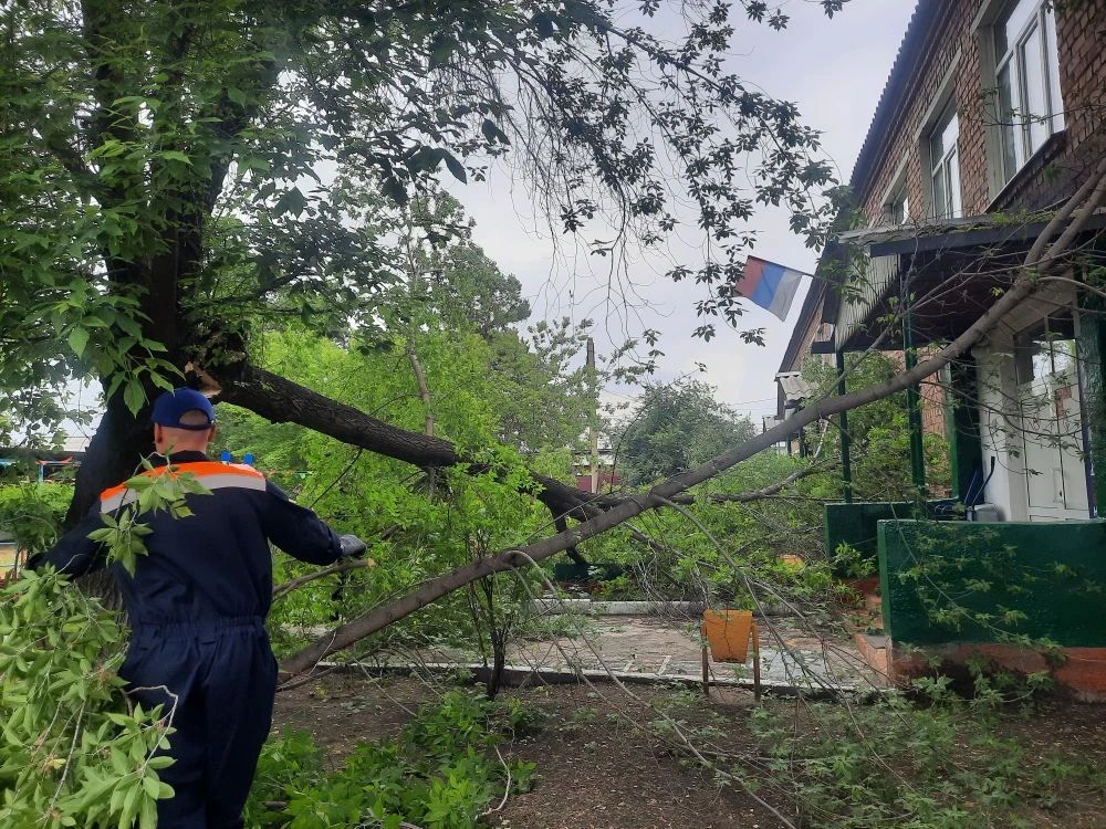 Во дворе детского сада № 36 по адресу: ул. 2-ой Городок, д. 11А надломились огромные ветви старого д