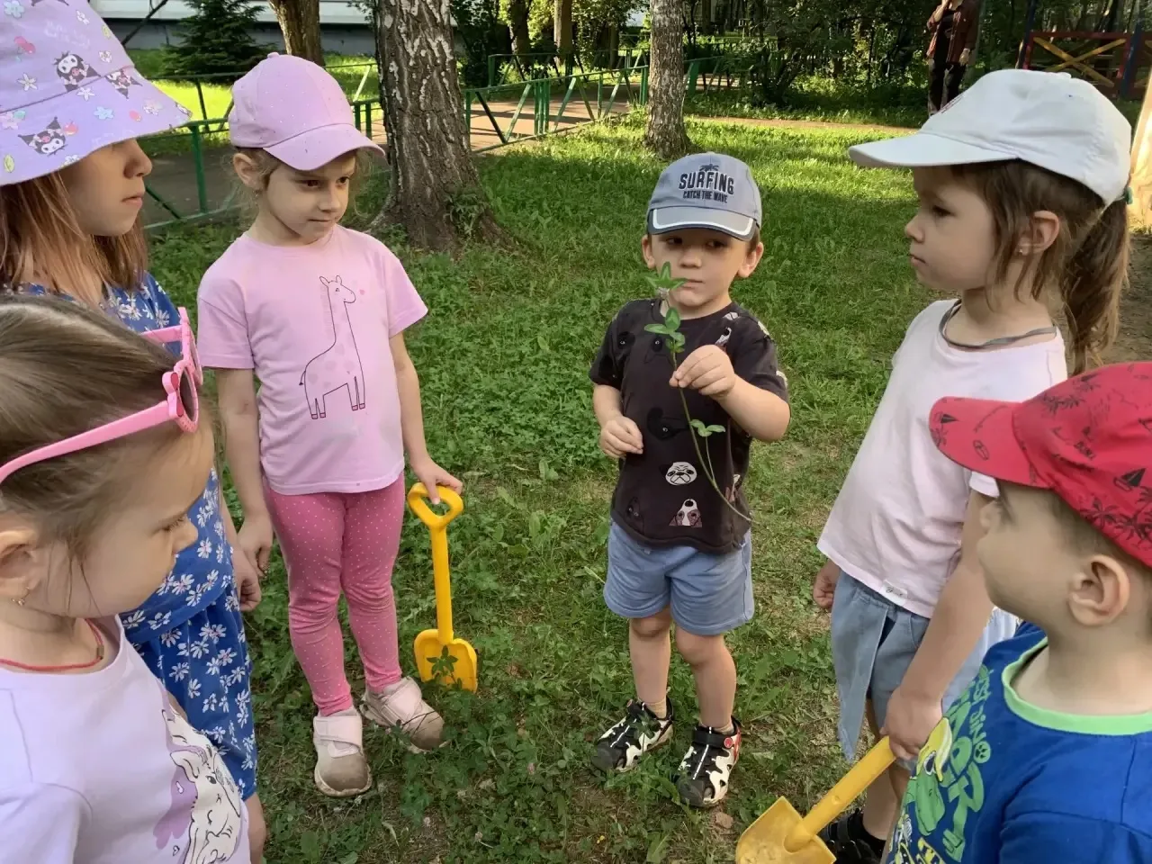 🌿 Лето в детском саду: учимся, наблюдаем, удивляемся! ☀️🐞

Лето для наших дошкольников — это время