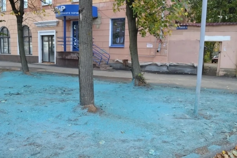 В Иванове «посинели» газоны на улице Громобоя