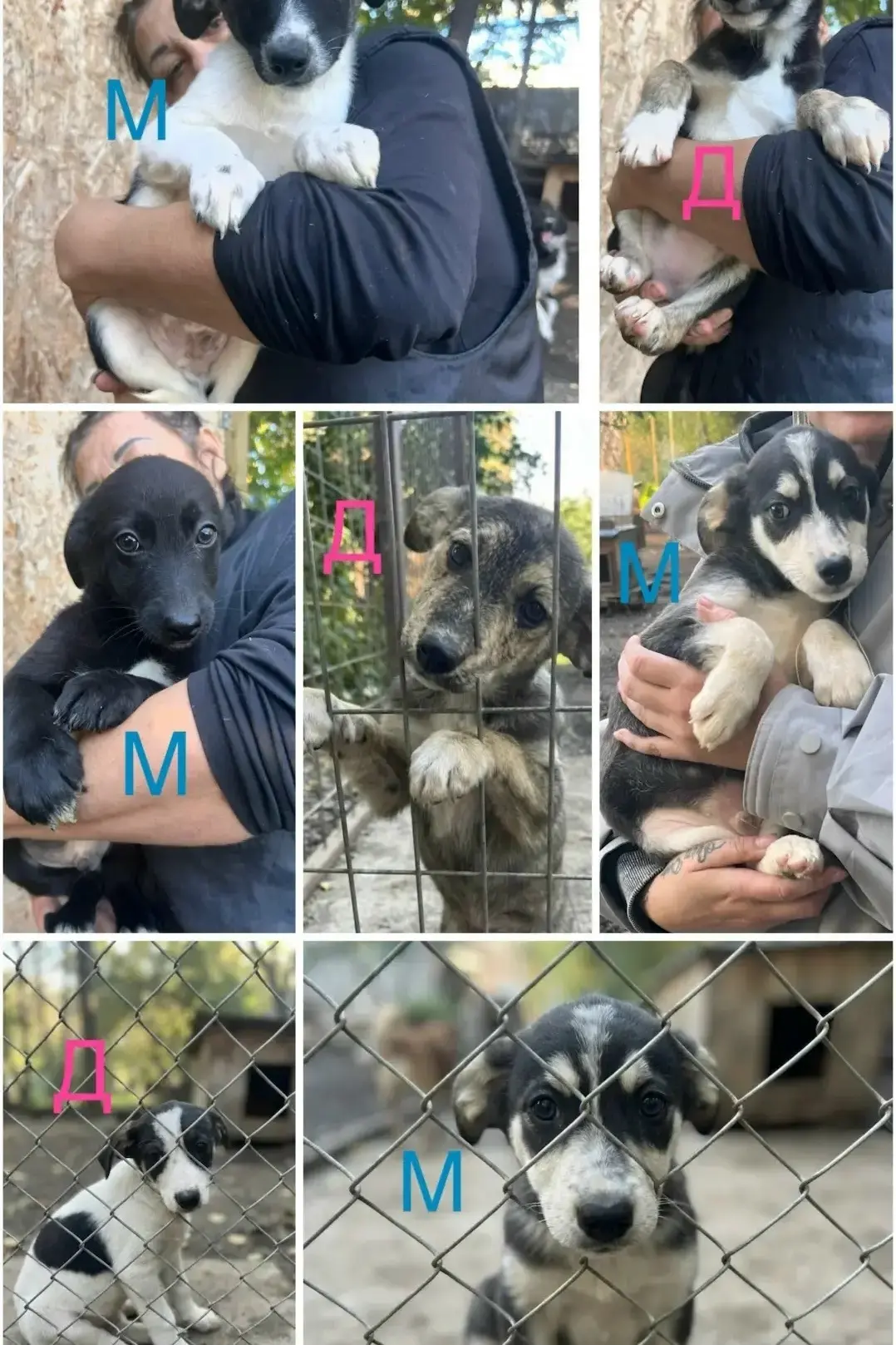 ДЕТКИ В КЛЕТКЕ.🥺 Подарите малышам детство 🙏🏻
