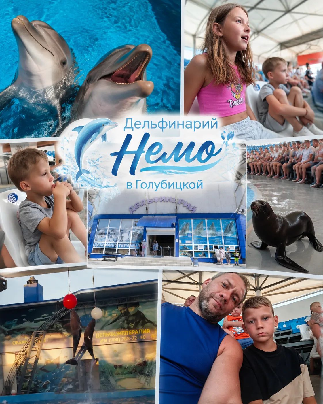 Дельфинарий Немо в Голубицкой 🐬