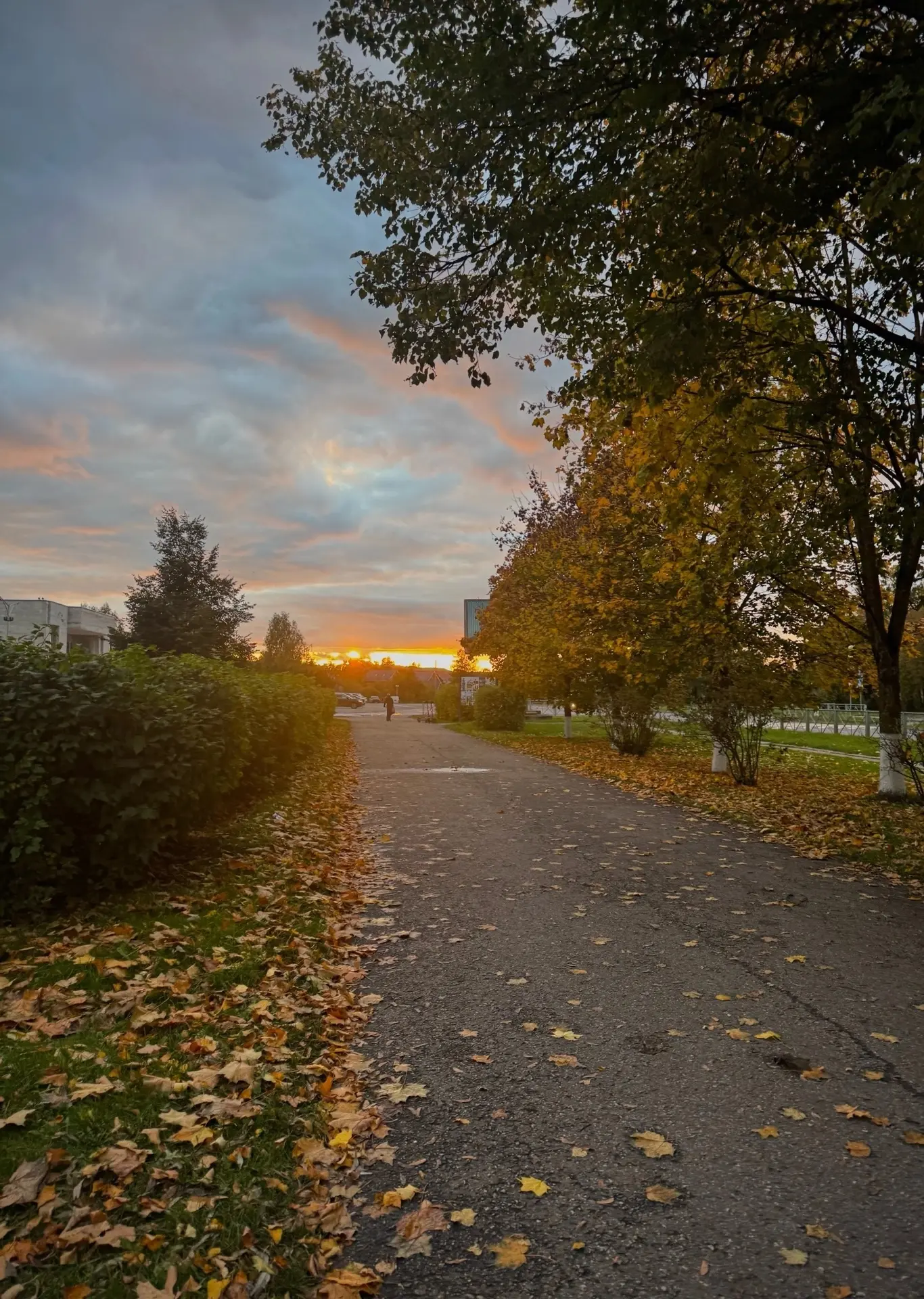 Теплого вечера 🍁🍂