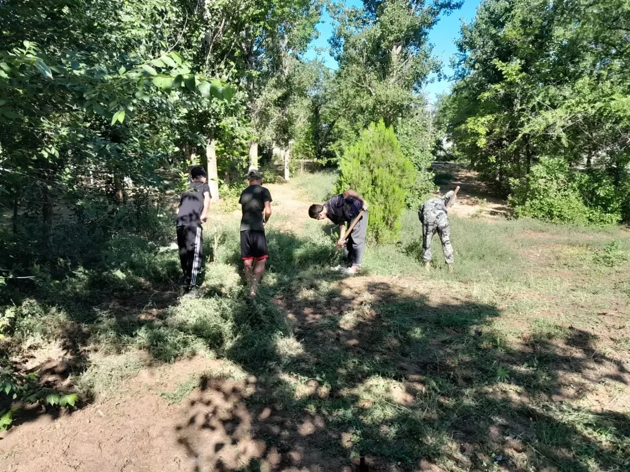 🌳ЮННАТЫ В ДЕЛЕ
🌿 Каникулы с пользой. Обучающиеся нашей школы приняли участие в экологической акции