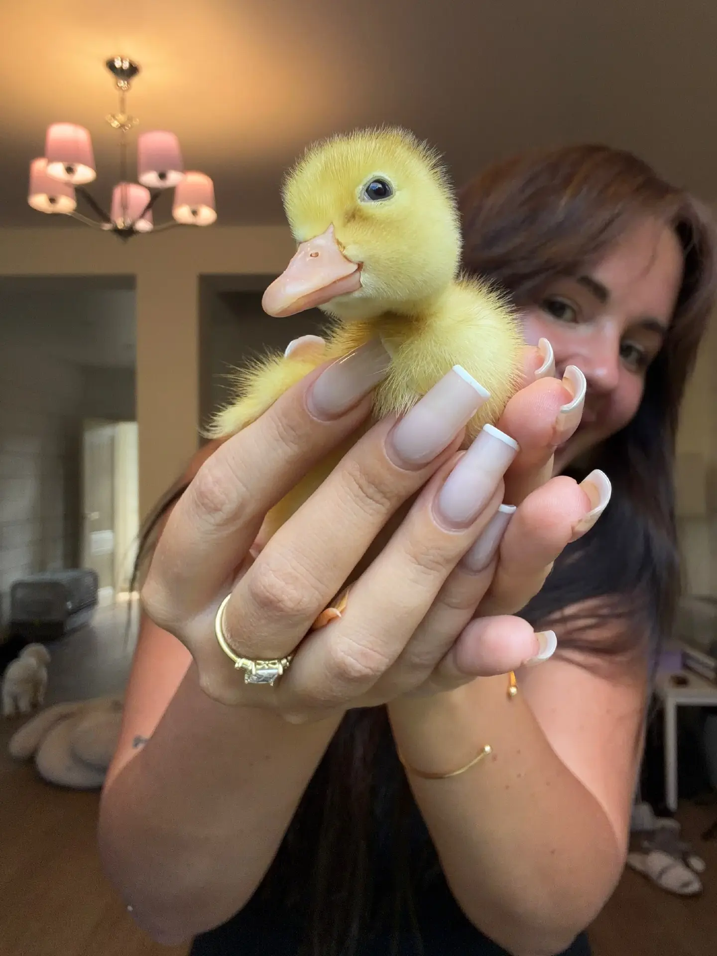 И как это чудо можно есть? 😀🐥 Наш второй малыш)