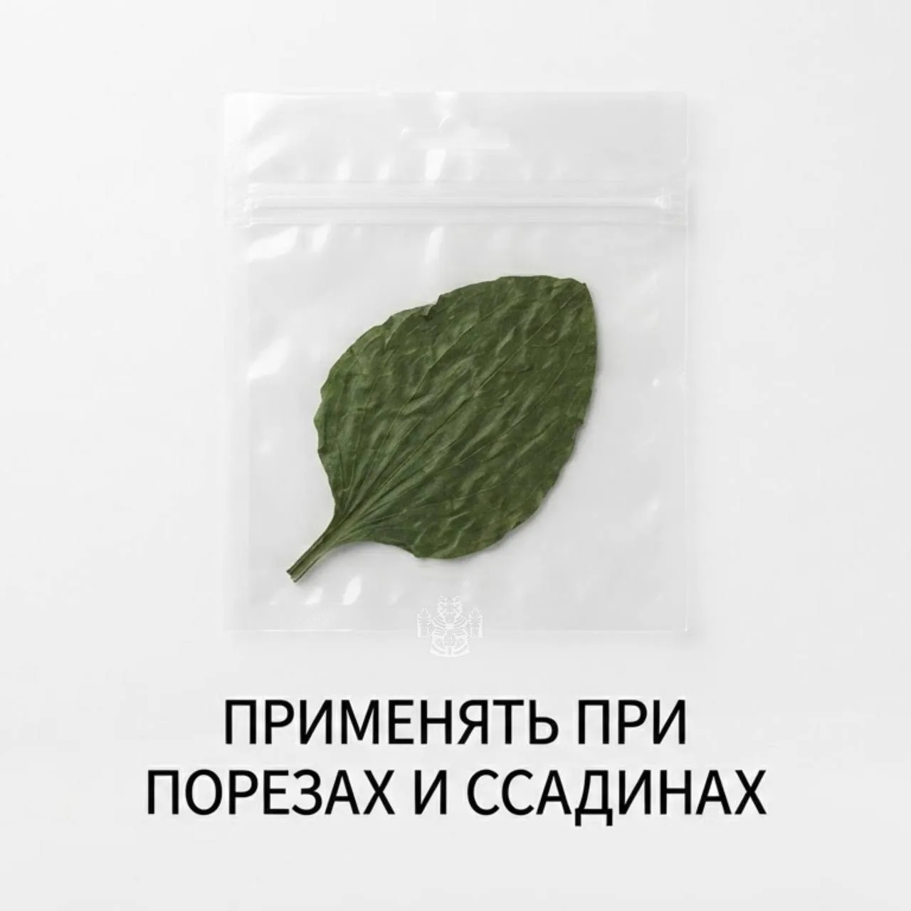 Российских детей официально будут лечить травами при ОРВИ — Минздрав обновил рекомендации