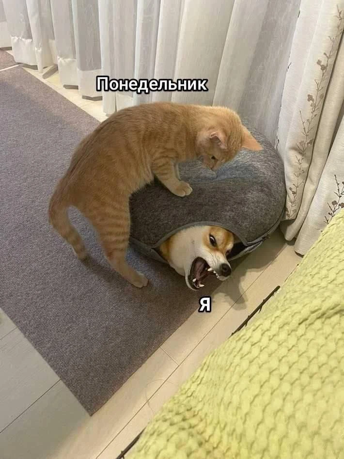 МЕМАСНАЯ