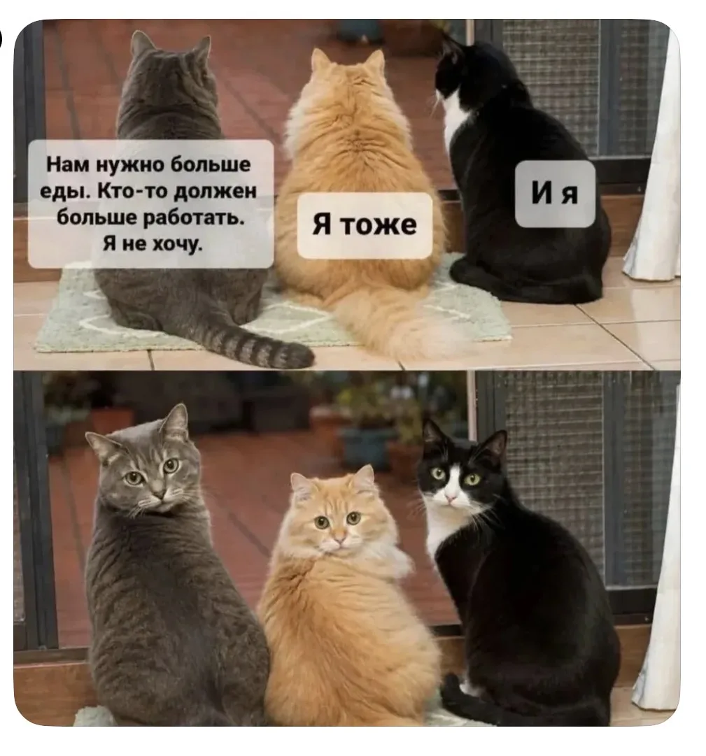 Идеально🩶🧡🖤