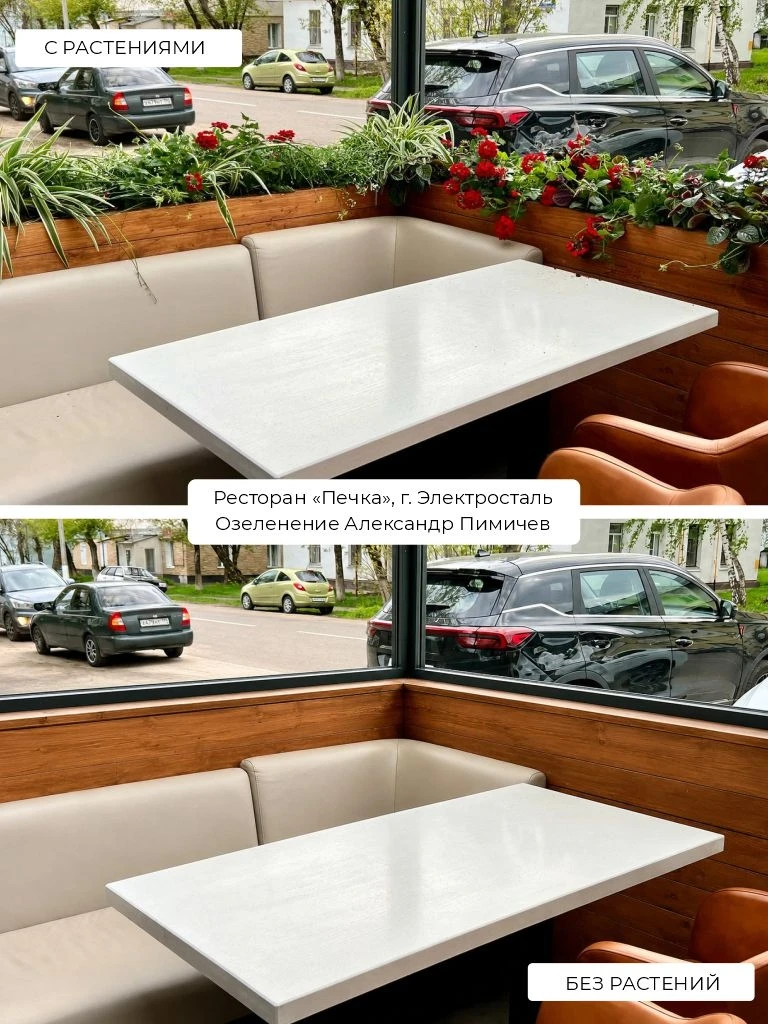 Как растения меняют пространство.